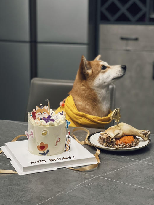 柴柴乐园 商品图8