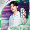 青岛啤酒纯生500ml*12听（炫兔版） 商品缩略图2