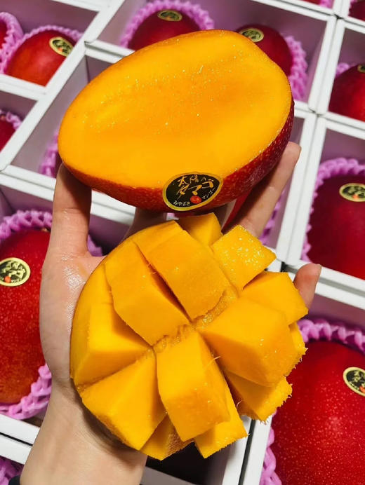 【预售】🇯🇵宫崎太阳之子芒果——真正的瓜熟蒂落，果肉柔软，细腻且多汁。 商品图12