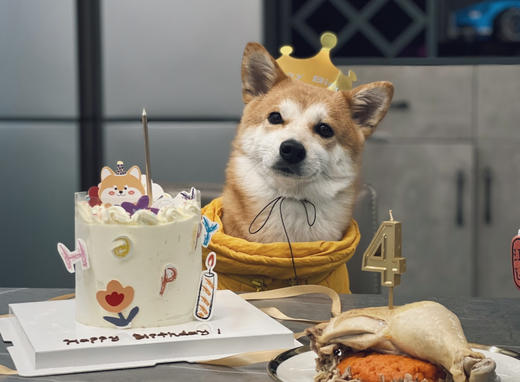 柴柴乐园 商品图5