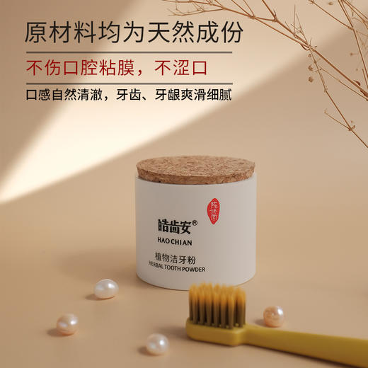 【陈修园·百年古方】皓齿安植物洁牙粉 多规格可选【套组牙刷颜色随机】 商品图2