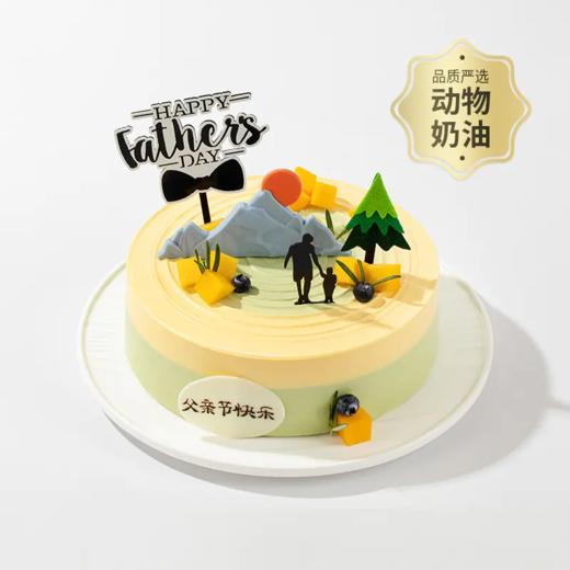 【父爱如山】甜蜜致敬父亲稳重如山的爱，感谢您为我遮风挡雨（2025年） 商品图0