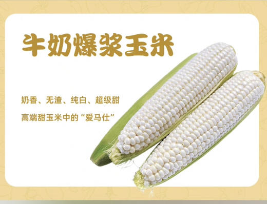2023新款牛奶爆浆玉米 商品图0