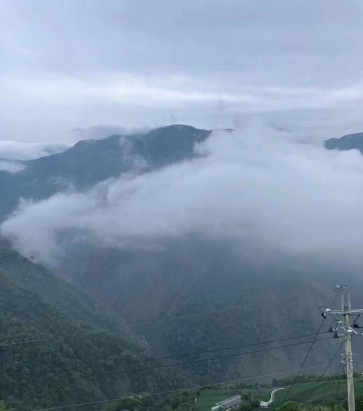 【茶馆茶叶】【金露香萱】龙凤峡乌龙茶 商品图1