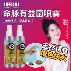 【出眠肠道恢复】调理乌龟肠胃菌群针对不开食有奇效，轻微肠胃炎食疗，调节水体有益菌数量