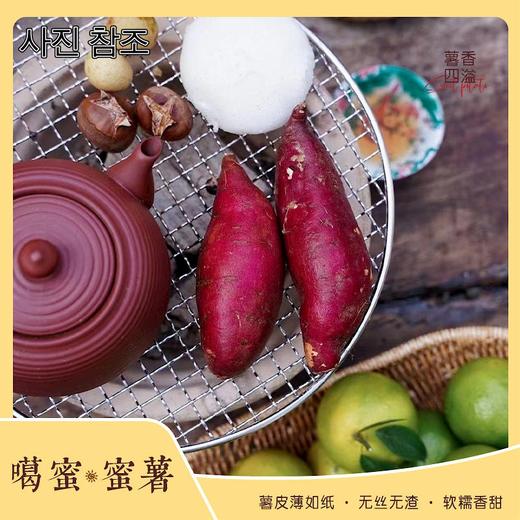 [산지직송]운남 꿀밤고구마 【产地直发】云南楚雄 嘎蜜蜜薯 商品图3