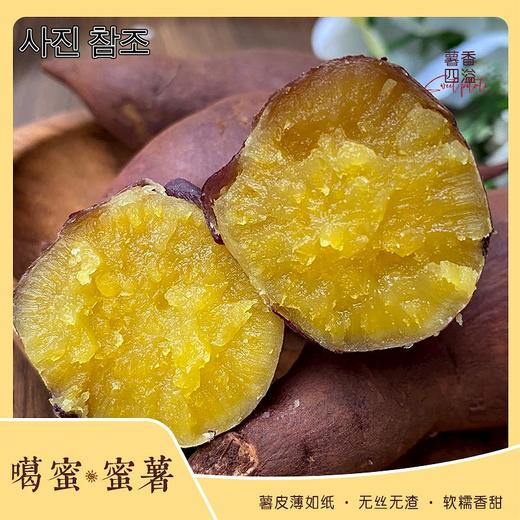 [산지직송]운남 꿀밤고구마 【产地直发】云南楚雄 嘎蜜蜜薯 商品图2