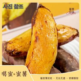 [산지직송]운남 꿀밤고구마 【产地直发】云南楚雄 嘎蜜蜜薯