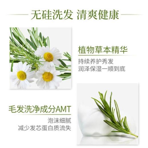 资生堂 惠润 柔净护发素 绿野芳香/鲜花芳香 220ml 商品图2