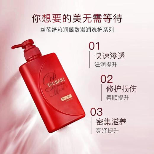 丝蓓绮 沁润臻致滋润洗发露490ml 商品图1