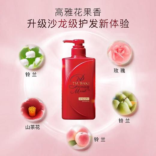 丝蓓绮 沁润臻致滋润洗发露490ml 商品图2