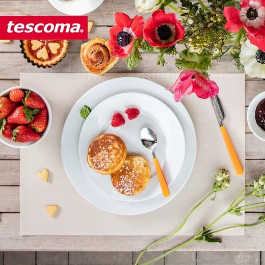 捷克/tescoma 隔热防滑餐垫 家用欧式防烫碗盘餐具垫桌垫子西餐垫 商品图2