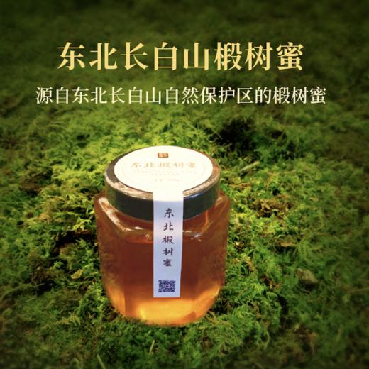 【门店请货版10件以上】东北椴树蜂蜜  源自东北长白山自然保护区的椴树蜜 500g/瓶 商品图1