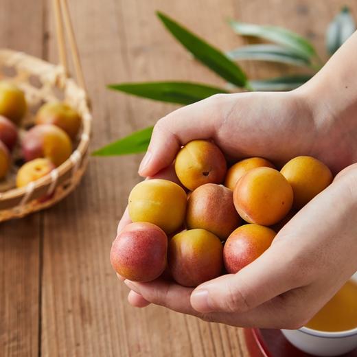 新疆空运吊干杏（3斤装） 商品图3