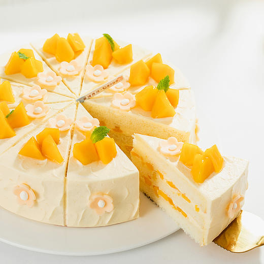 【微甜热量低】轻盈沐光蛋糕。微甜女孩，控甜之选！0添加蔗糖，更健康更好吃（全国正价链接） 商品图3