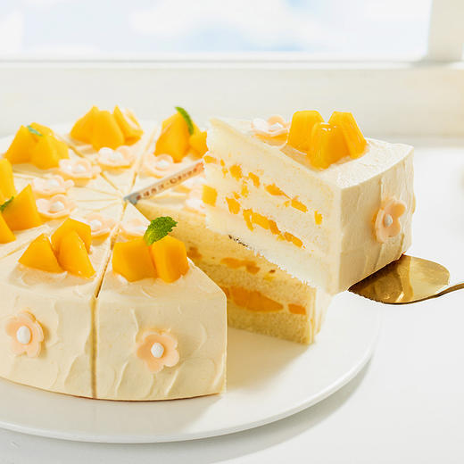 【微甜热量低】轻盈沐光蛋糕。微甜女孩，控甜之选！0添加蔗糖，更健康更好吃（全国正价链接） 商品图6