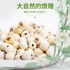 【严选】鄂莲洪湖莲子磨皮白莲钻心莲500g（厂家直发） 商品缩略图4