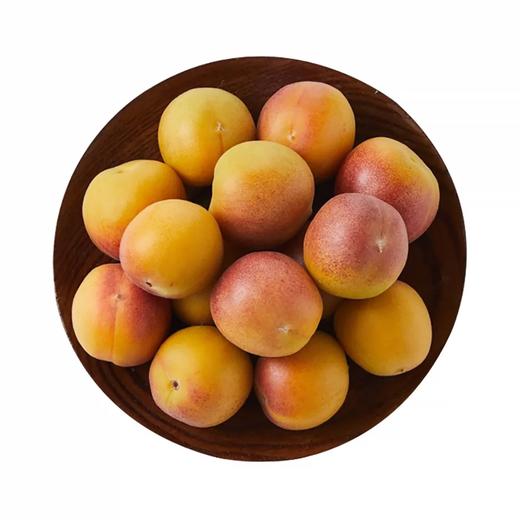 新疆空运吊干杏（3斤装） 商品图0