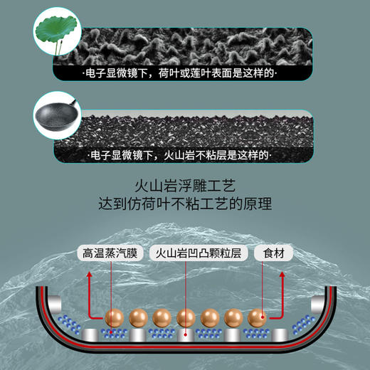 【清货款仅一个】Flonal不粘锅炒锅家用进口石器时代复底32cm炒锅 商品图3