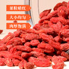 康美药业枸杞子150g/瓶 可搭配大枣黄芪党参菊花等代茶饮煲汤 商品缩略图5