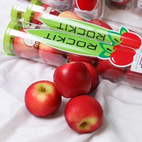 乐琪苹果5#（大）