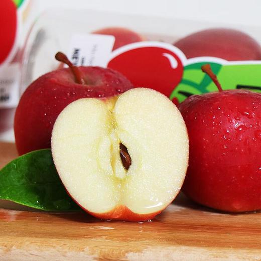 乐琪苹果5#（大） 商品图3