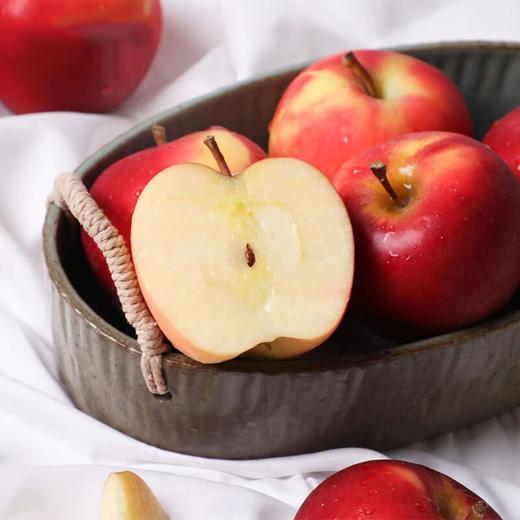 乐琪苹果5#（大） 商品图1