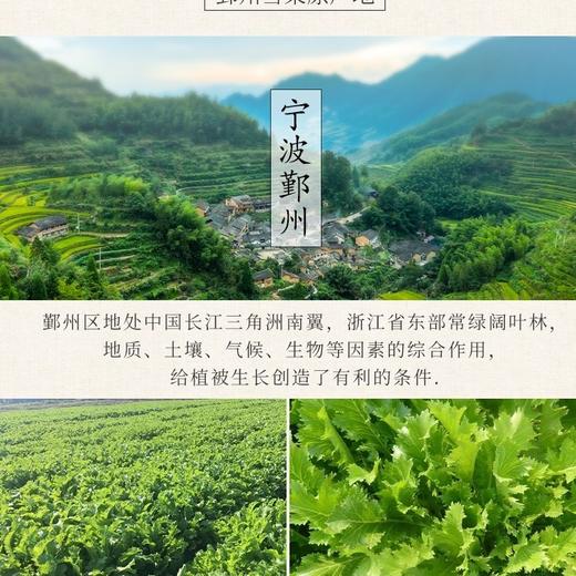 150g 三丰可味雪菜 【4B-干9D】 商品图2