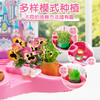 公主城堡花园儿童种植小盆栽套装植物绿植种子四季可种学生幼儿园 月销 0公主城堡花园 33*8*23 商品缩略图2