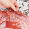 600～700g 丰帆汇深海红龙斑红斑鱼【2C5下-19特价 商品缩略图1