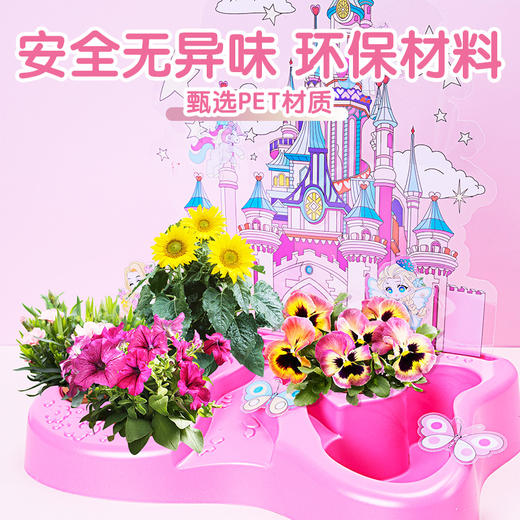公主城堡花园儿童种植小盆栽套装植物绿植种子四季可种学生幼儿园 月销 0公主城堡花园 33*8*23 商品图3