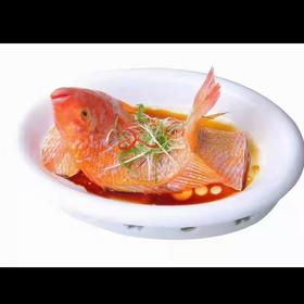 600～700g 丰帆汇深海红龙斑红斑鱼【2C5下-19特价