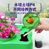 植物生长观察科学小实验套装儿童种植阳光房幼儿园小学生益智玩具温室科学实验 38*30*9.5 商品缩略图4