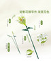 灿烂千阳百合积木花束创意永生花桌面插花装饰摆件模型情人节礼物 商品缩略图5
