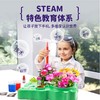 植物生长观察科学小实验套装儿童种植阳光房幼儿园小学生益智玩具温室科学实验 38*30*9.5 商品缩略图2