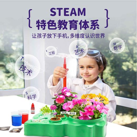 植物生长观察科学小实验套装儿童种植阳光房幼儿园小学生益智玩具温室科学实验 38*30*9.5 商品图2