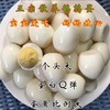 80个左右清水鹌鹑蛋安春蛋火锅卤水专用【云仓 3A-1D】 商品缩略图1