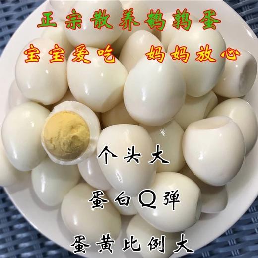 80个左右清水鹌鹑蛋安春蛋火锅卤水专用【云仓 3A-1D】 商品图1