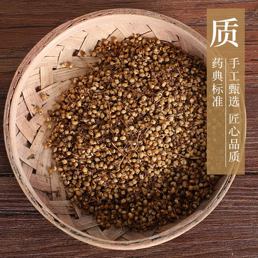 炒谷芽 康美中药饮片 独立小包装10g起 商品图3