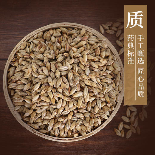 炒麦芽 康美中药饮片 独立小包装 商品图3