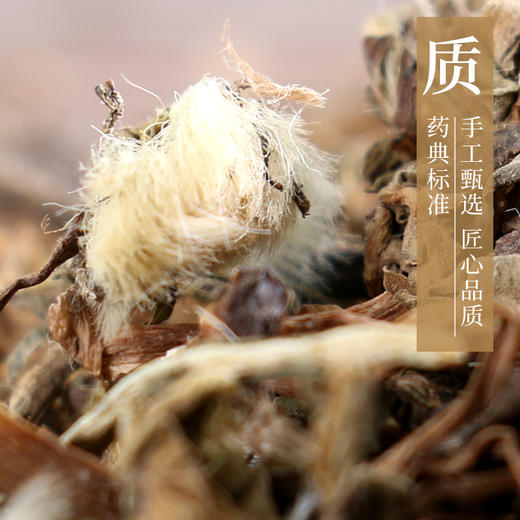 蒲公英/华花郎 药食同源康美中药饮片 独立小包装10g起 商品图2