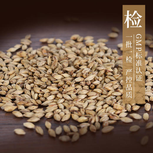炒麦芽 康美中药饮片 独立小包装 商品图2