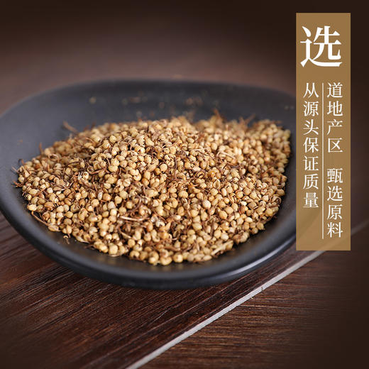 炒谷芽 康美中药饮片 独立小包装10g起 商品图1
