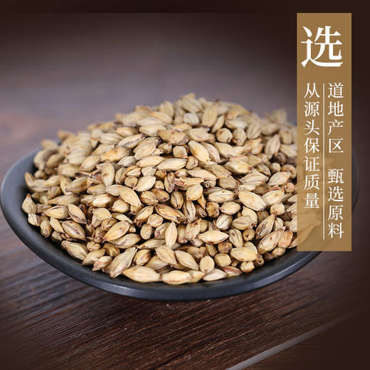 炒麦芽 康美中药饮片 独立小包装 商品图1