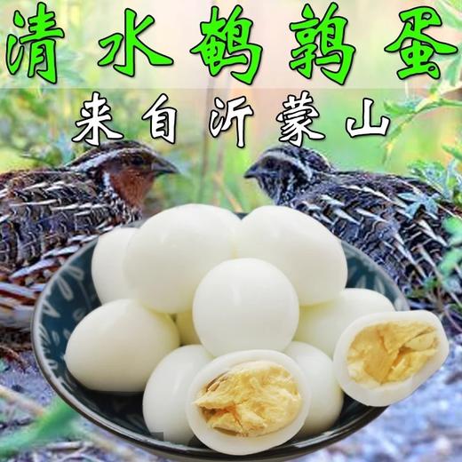 80个左右清水鹌鹑蛋安春蛋火锅卤水专用【云仓 3A-1D】 商品图2