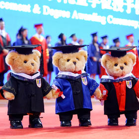南医学位服泰迪熊