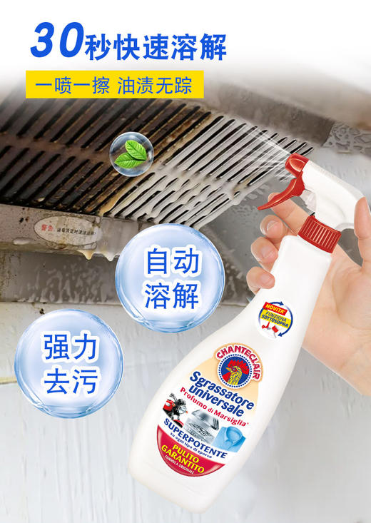 重磅推荐！意大利国宝品牌大公鸡管家多能去污清洁剂（经典）正装600ml*1瓶+600ml*2瓶替换 商品图1