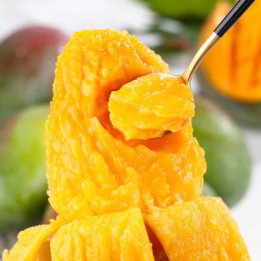 【9.9元2斤】凯特芒果大果 商品图0