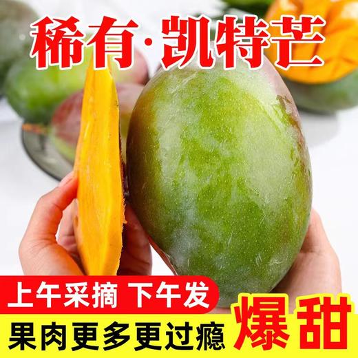 【9.9元2斤】凯特芒果大果 商品图1