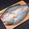 700~800克丰帆汇开背海鲈鱼【云仓1A区/2C3下-19】 商品缩略图1